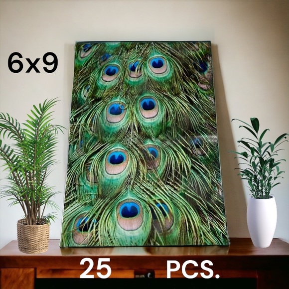 25 6X9 Peacock Eyes Flat Poly Mailers PRICE FIRM - Picture 2 of 4